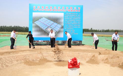 魯糧集團(tuán)功能食品餡料項(xiàng)目開工奠基儀式成功舉辦