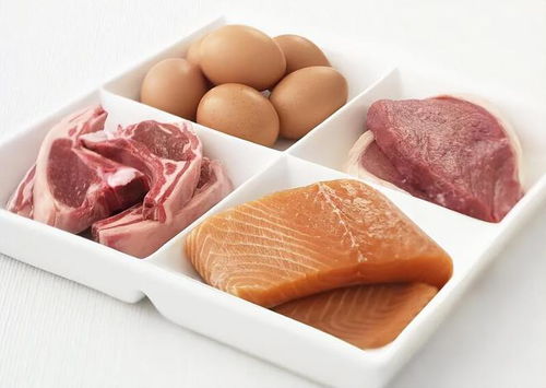 蛋白質(zhì)對(duì)老年人有多重要 醫(yī)生提醒 60歲后多吃這些高蛋白才健康